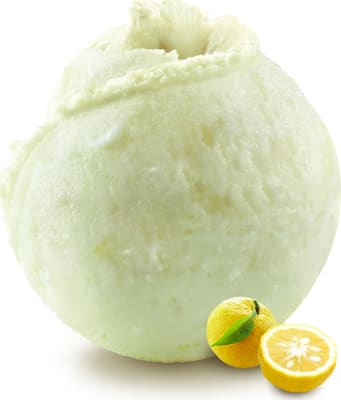 Compagnie des Desserts Yuzu Sorbert