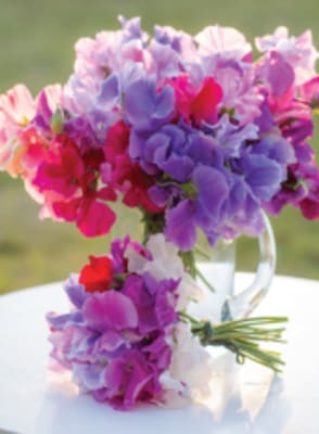 Leonard-Mini Gjafak 85x60mm.SweetPeas(12