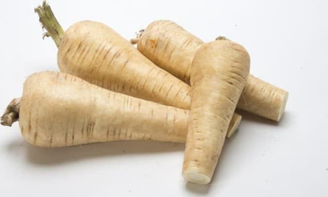 Nípa (parsnip) 1/1
