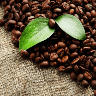 SFB ORGANIC COFFEE BEANS