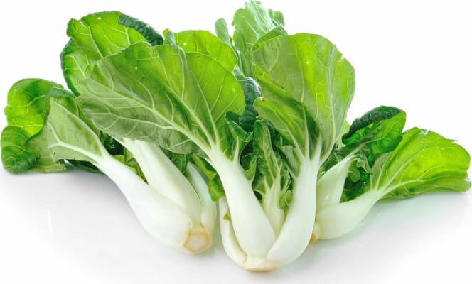 Pak Choi