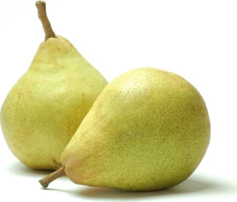 Perur