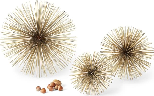 Philippi Riccio stjarna L