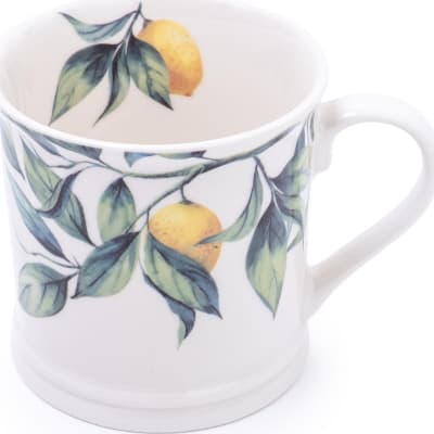 Postul. Bolli Lemons 10x13cm. (6)