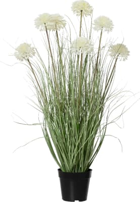 Pottaplanta Grass Allium 40x85cm. (2)