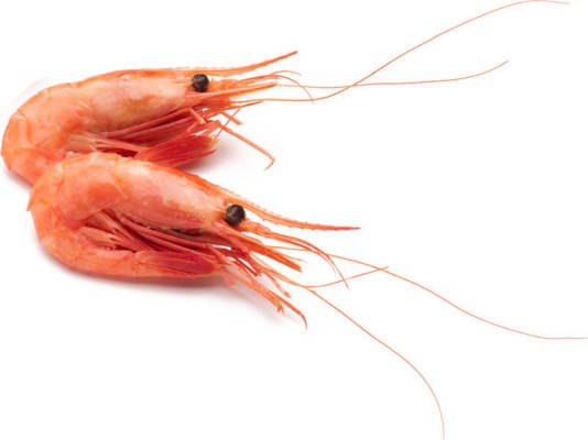 Rækjur Soðnar heilar í skel Íslenskar 80/100