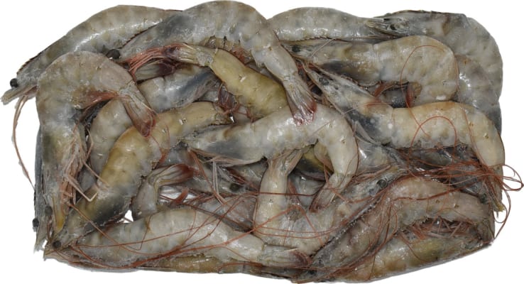 Risarækja Vannamei með haus og skel 20/30