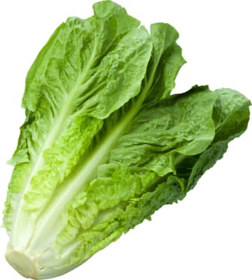 Romainsalat 400 g
