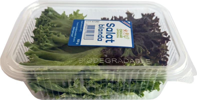 Salatblanda Brúará 16x100gr