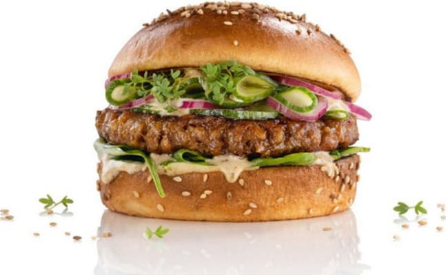 Salomon Home Style Burger