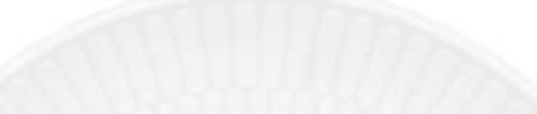 Seltmann Amina diskur 16cm hvítur