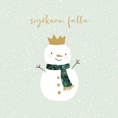 Serv. Snjókorn falla 20st 33×33 (12)