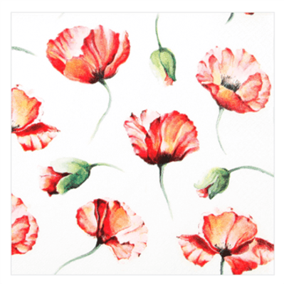 Servíettur Poppy drawing 33×33 (12)