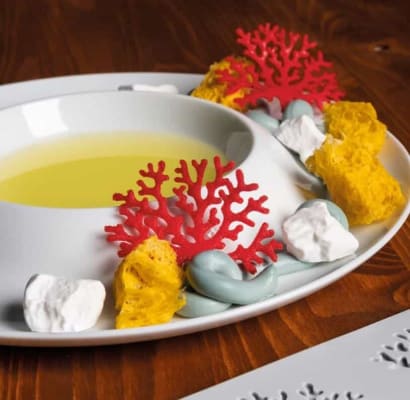 Siliconform Gourmand – Coral 8 hólf