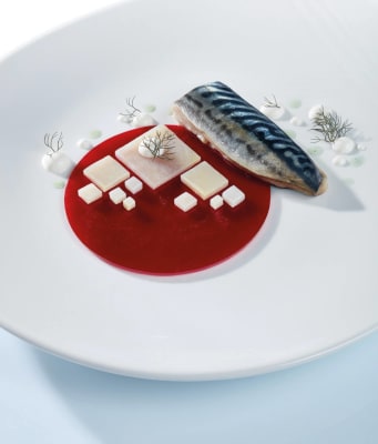 Siliconform Gourmand – Disco grande 6hólf