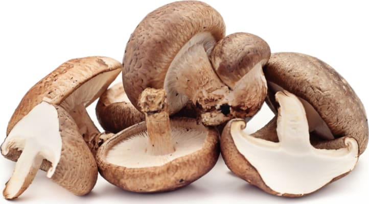Shitake Sveppir Pakkaðir