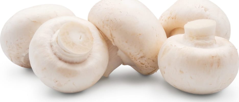 Sveppir íslenskir lausir (4 kg/ks)