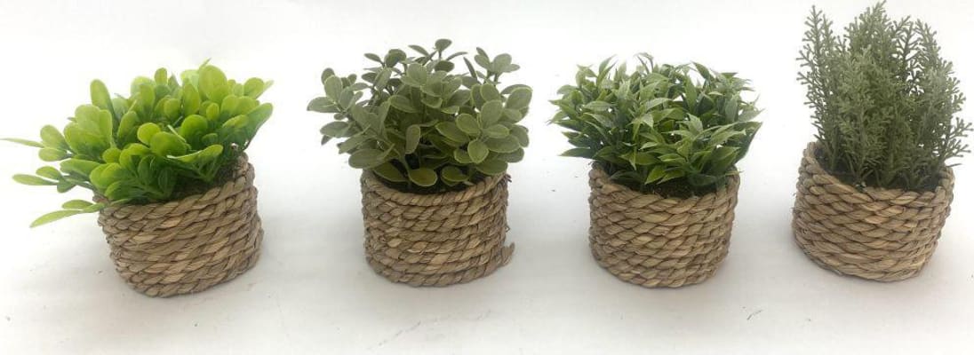 Trendcenter Gerviplanta í bast blómapotti 8x11cm 4mism