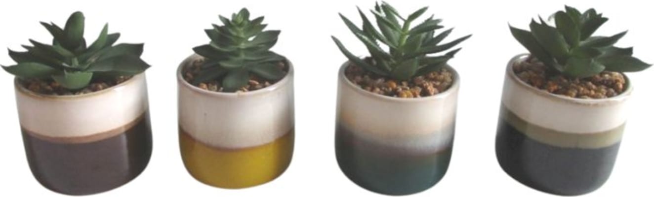 Trendcenter Græn planta í leir potti 6,5x11 blandaðar tegundi