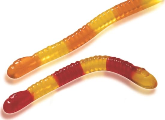 Two head worms 1kg
