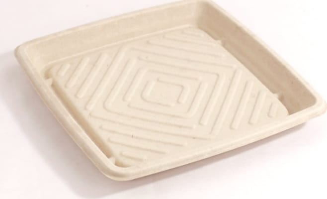 Veislubakki Pulp 30x30cm 25stk