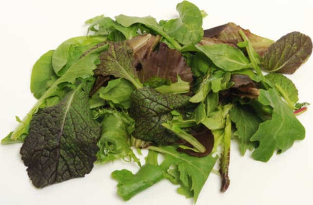 Veislusalat 100gr.