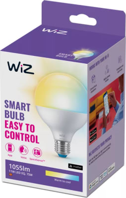 WIZ Globe G95 75w E27 amb