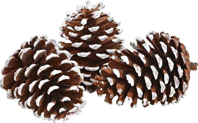 Wurm Könglar með snjó 3stk.