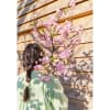 Cherry blossom planta 35x80cm. (4)