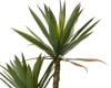 Sisal planta 60x125cm. (4)
