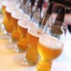 Spiegelau Beer Cl. IPA 54 cl. - 4 stk.