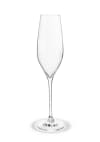 Holmegaard Cabernet Lines Kampavínsglas 29cl. 2 stk