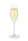 Holmegaard Cabernet Lines Kampavínsglas 29cl. 2 stk