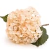 Hortensía Cream 46cm. (10)