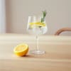 iittala ESSENCE glas gin og kokteil 63cl 2stk clear