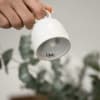 Villeroy & Boch Winter Glow bjalla