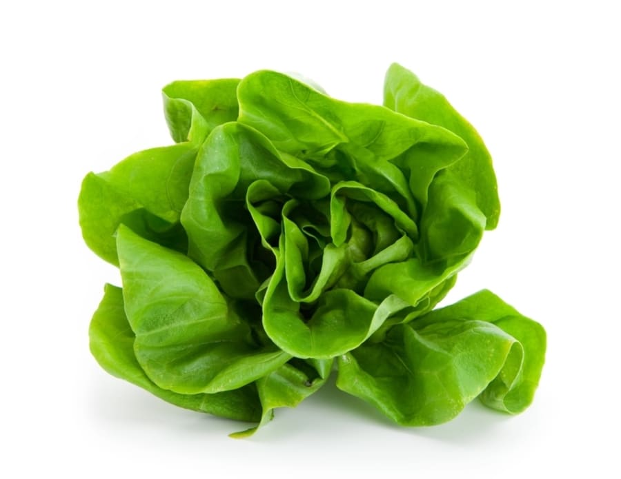 Boston Salat