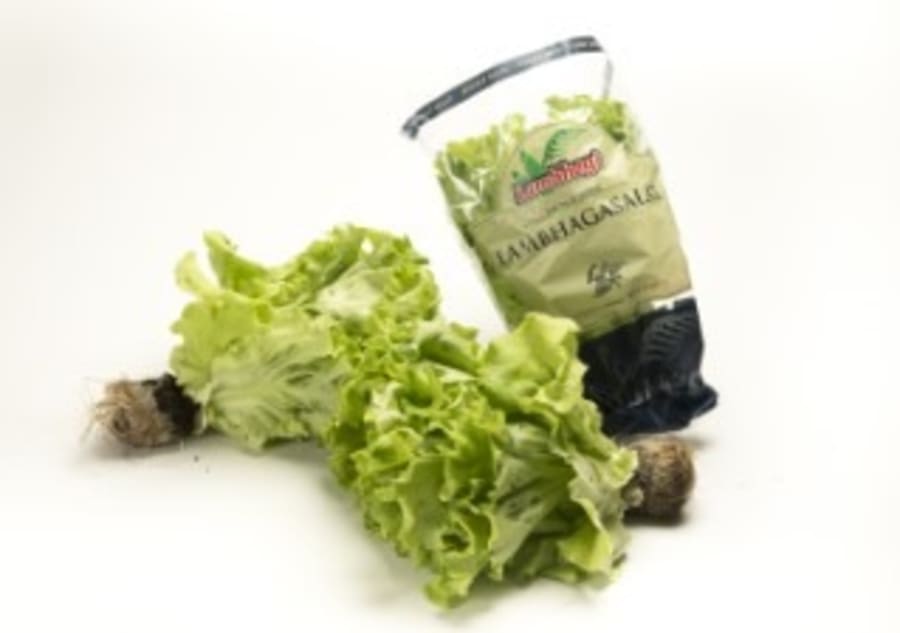 Lambhaga salat 150 g