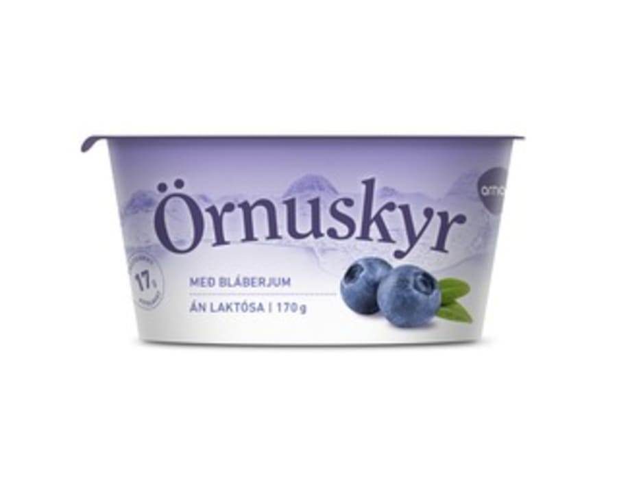 Arna skyr með bláberjum 170 g