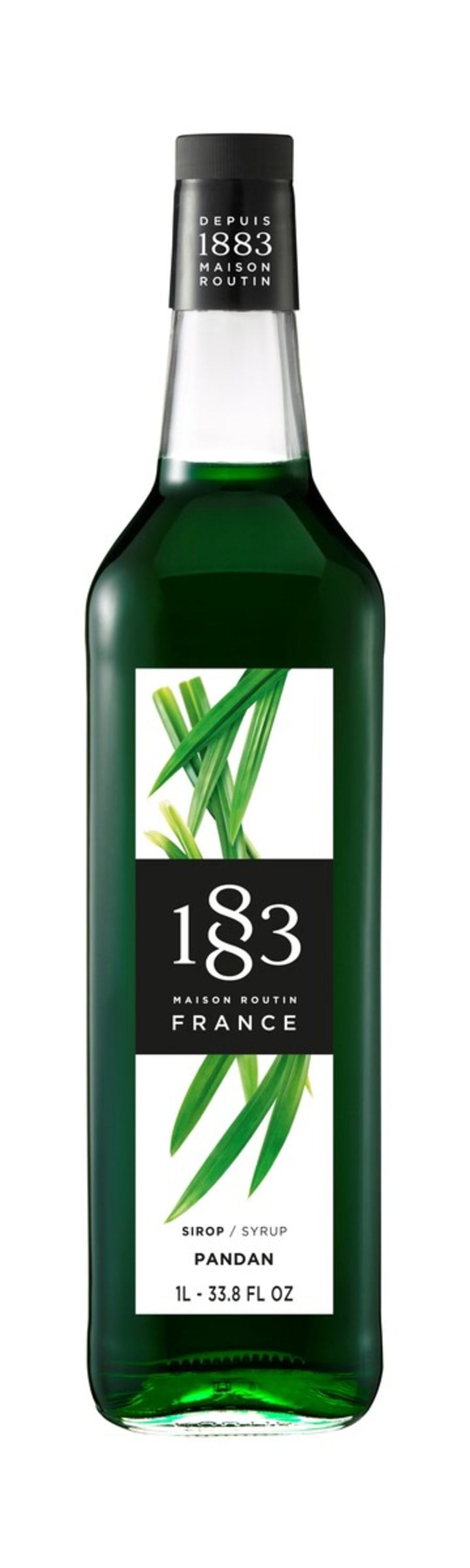 Routin Pandan Síróp