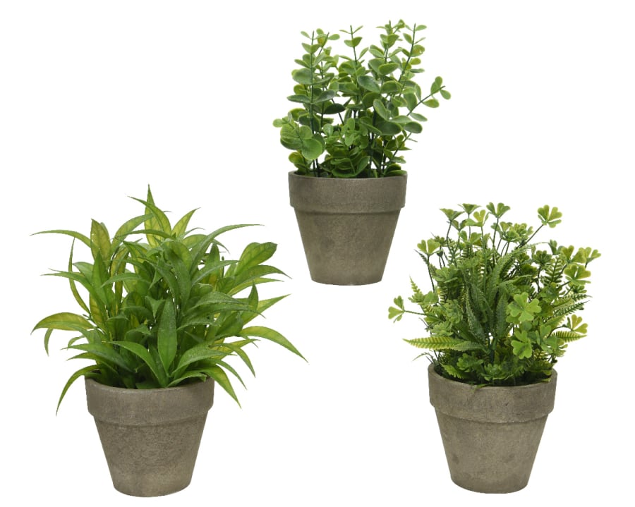 Pottaplanta 3teg. 25cm Displ-12