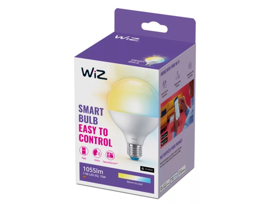 WIZ Globe G95 75w E27 amb