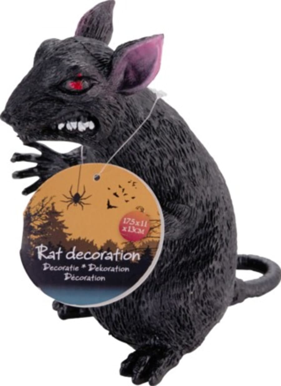 Halloween rotta