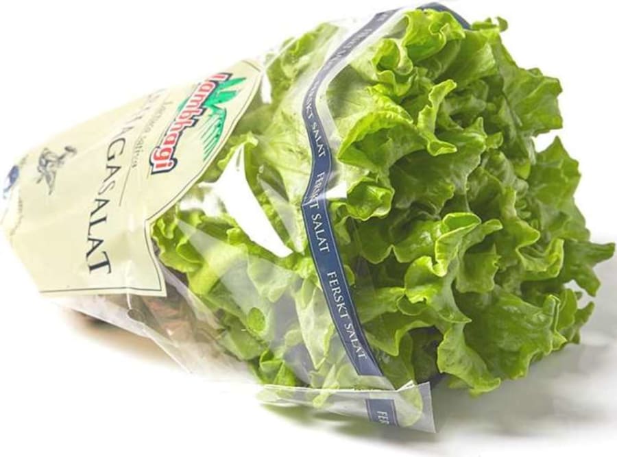 Lambhagi Salat í Potti