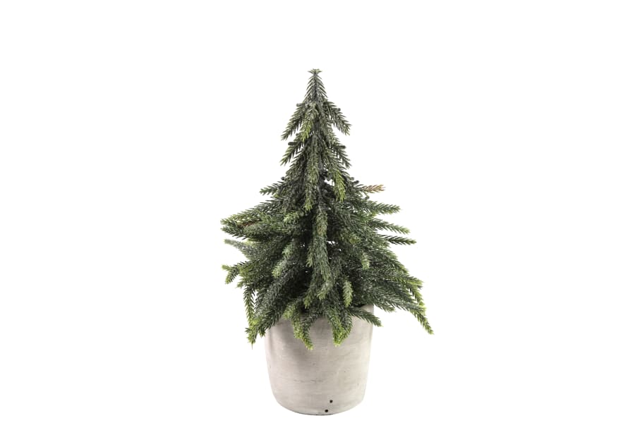 CF-Jólatré í potti Lucien 25cm.Displ-12