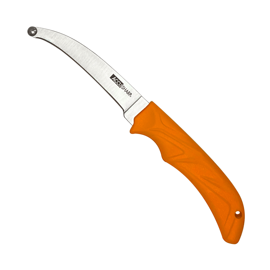 AccuSharp Veiðihnífur orange Skinning