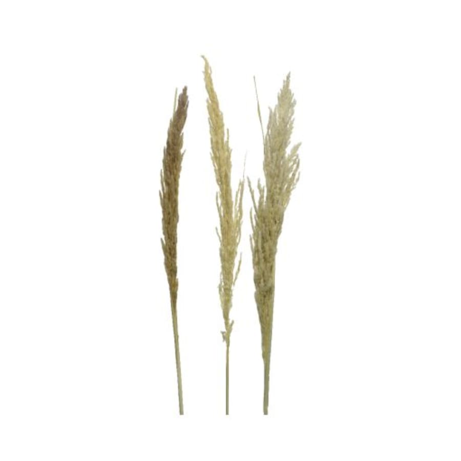 Decoris-Strá Eryathus 3stk. 170cm.(20)