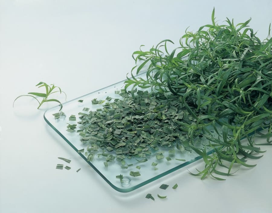 Estragon 250g