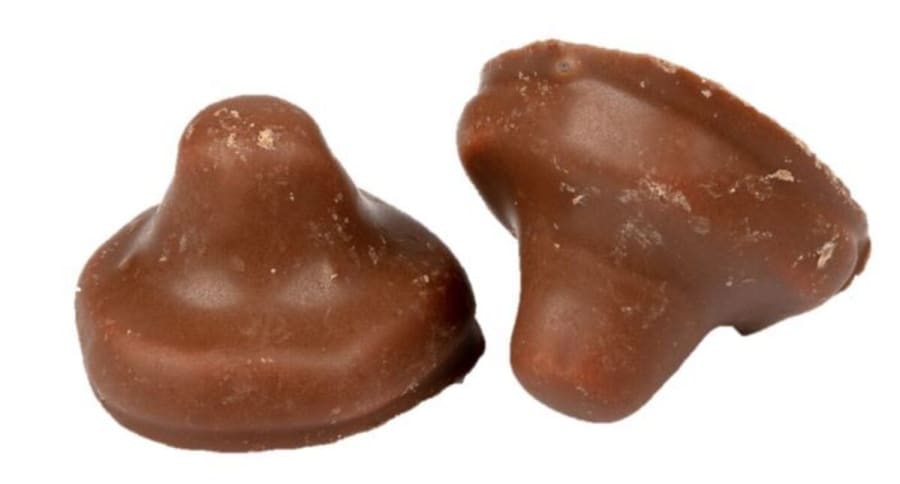Franssons Choklad Svamp