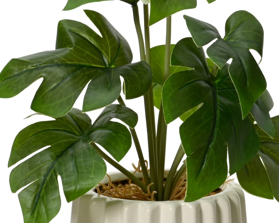 Pottaplanta scindapsus 3-teg. 28cm. (6)